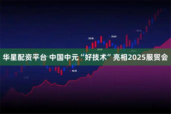 华星配资平台 中国中元“好技术”亮相2025服贸会