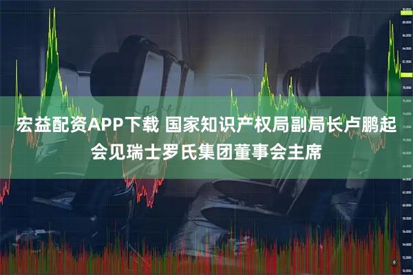 宏益配资APP下载 国家知识产权局副局长卢鹏起会见瑞士罗氏集团董事会主席