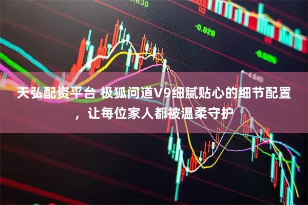 天弘配资平台 极狐问道V9细腻贴心的细节配置，让每位家人都被温柔守护